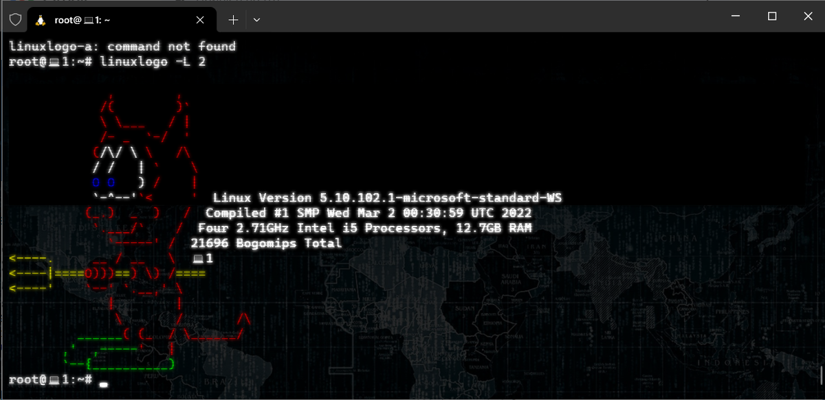 Терминал линукс. Сведения о системе linux команда. Консольная версия linux. Org. Как посмотреть версия linux.