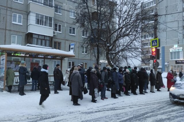    Вот так выгляди остановки в областном центре. Фото: АиФ в Туле/ Алексей Мурат