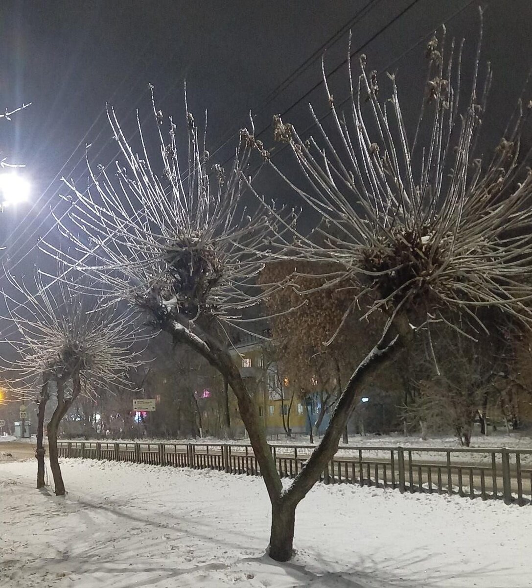 Фото Абраменковой И.