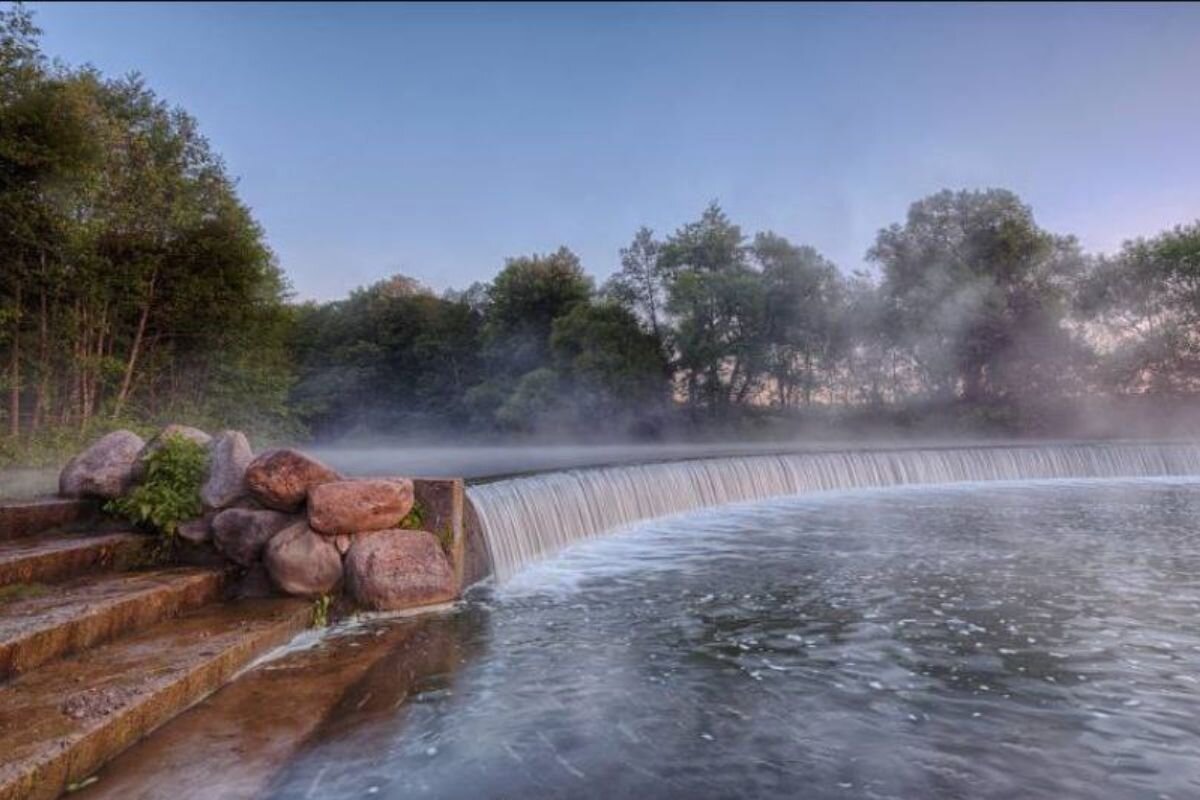 Дрозды минск фото