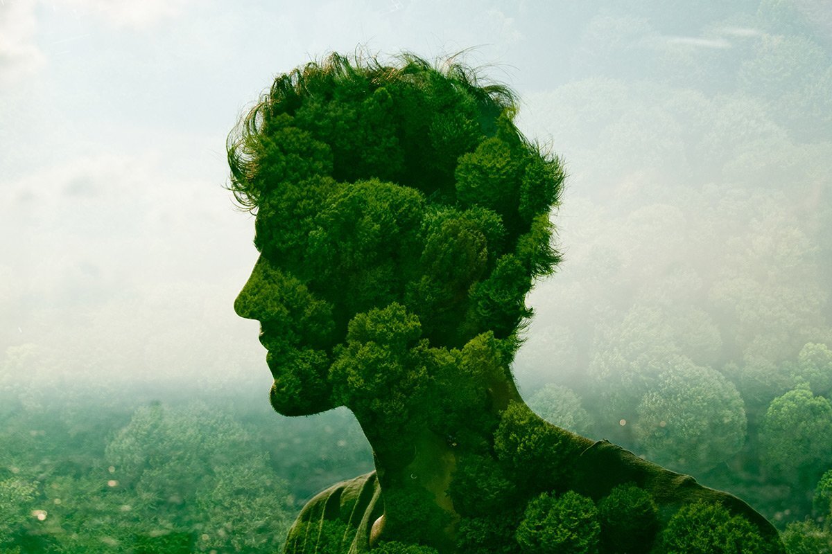 Яндекс картинки