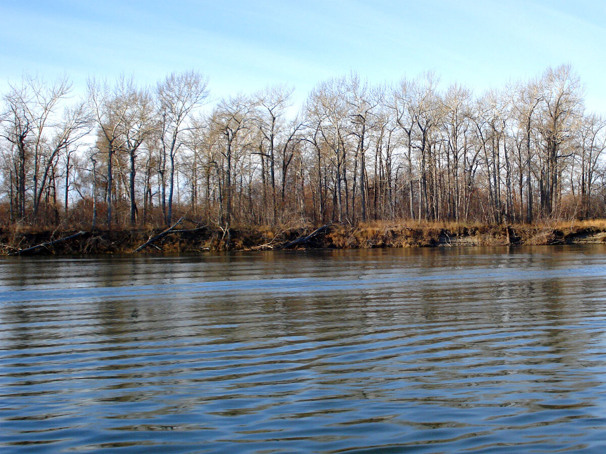 Берега реки Пенжина в районе горы Шаман