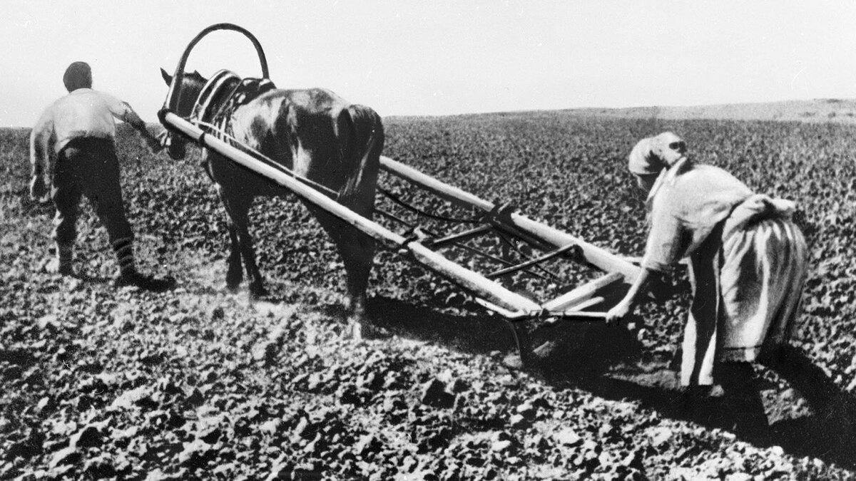 Крестьянский труд до коллективизации