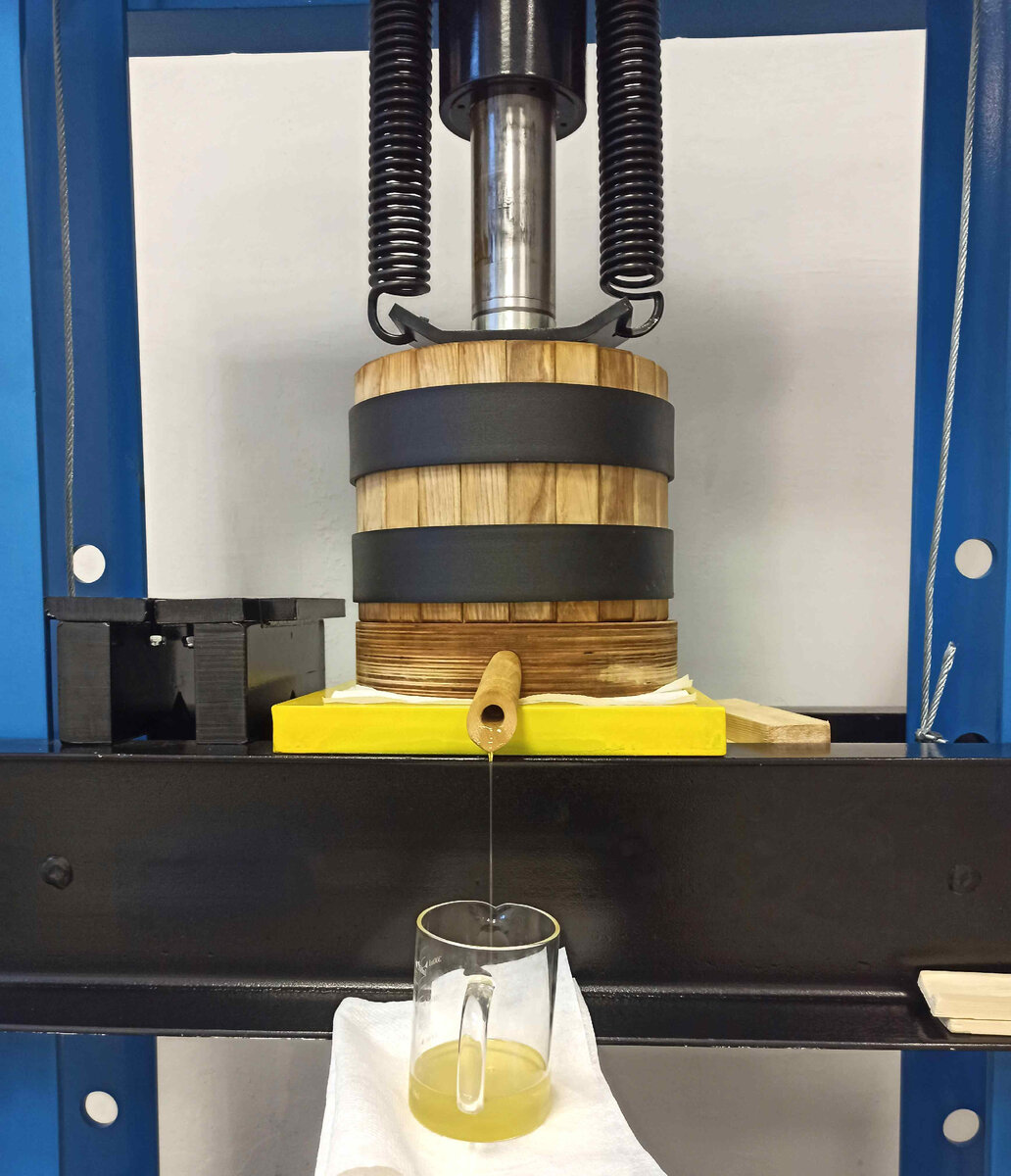 Бочонок и пресс для производства сыродавленных масел