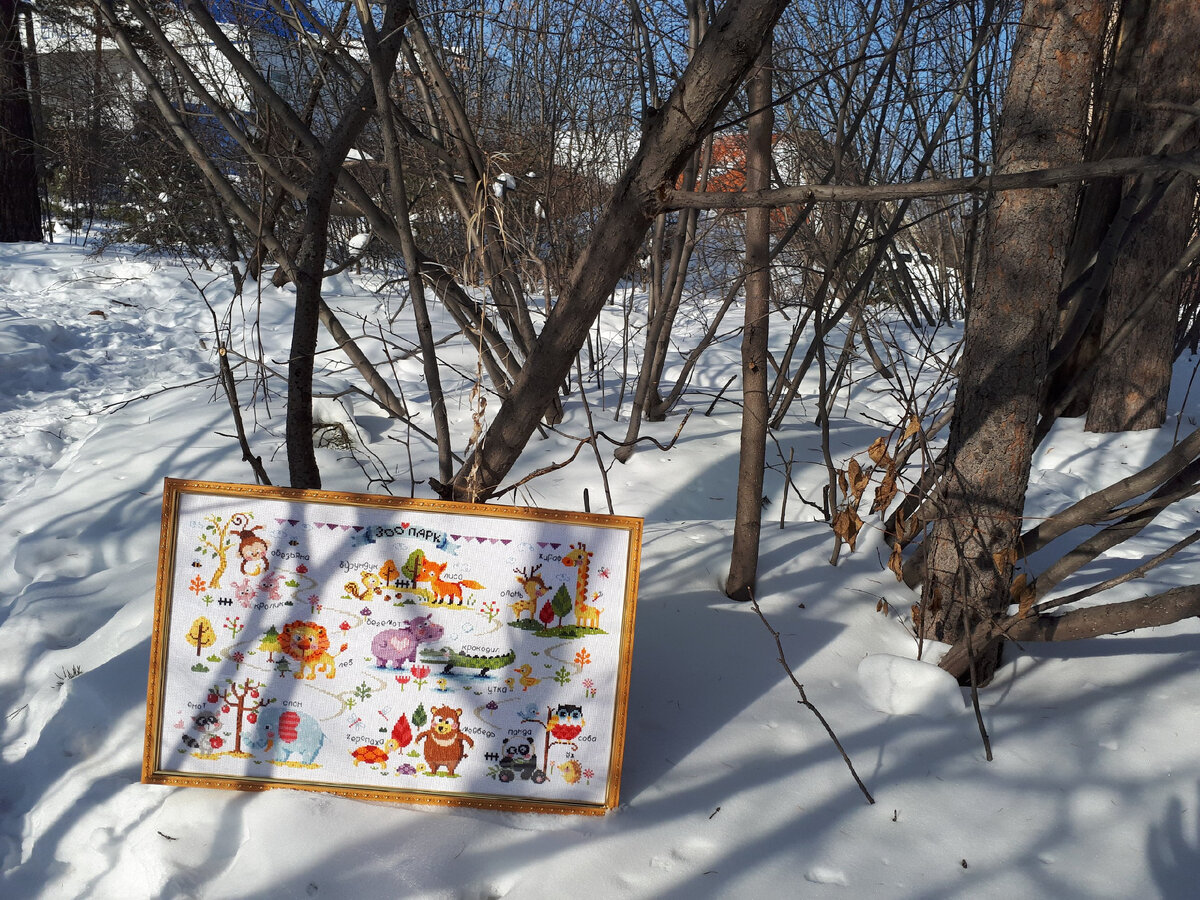 "Zoomap" от Sodastich (китайский аналог)