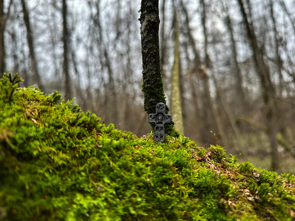 великие географические открытия. завоевание и колонизация испанцами америки. центральная америка завоевание. карта великих географических открытий 15 17 века. великие географические открытия.