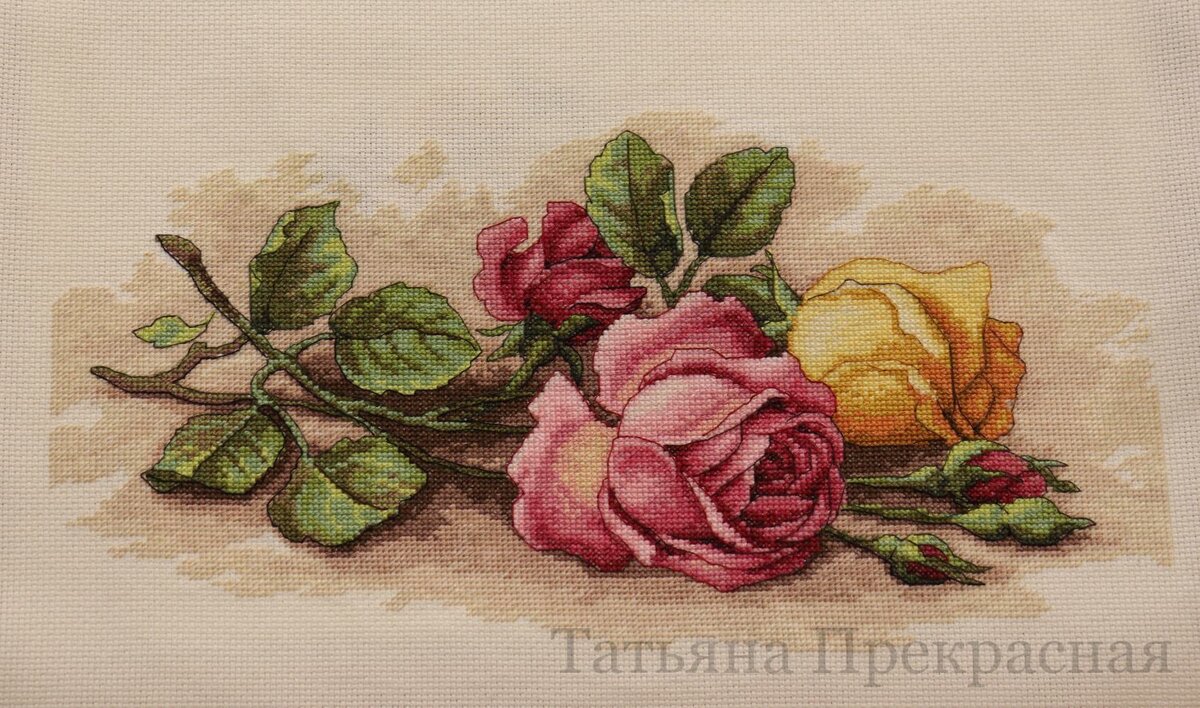 Dimensions - Rose cutting (срезанные розы)