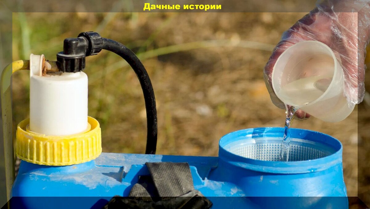 Самое важное о совместимости биопрепаратов: использование биопрепаратов ...