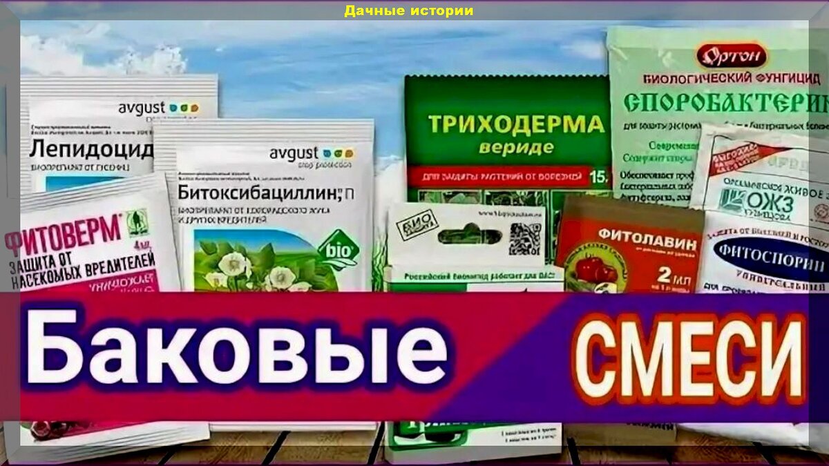 https://vk.com/photo-159774511_457263591