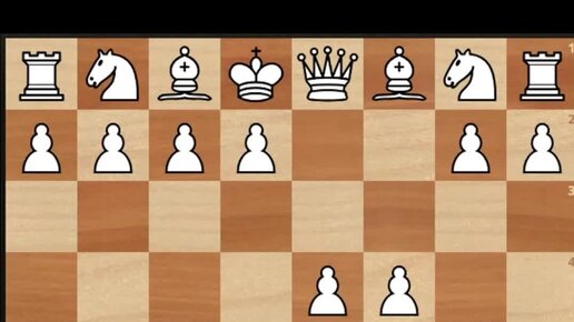 Шахматы для начинающих. Взятие на проходе в шахматах. Шахматная игра для начинающих детей. Взятие в шахматах. Расстановка и ходы в шахматах.