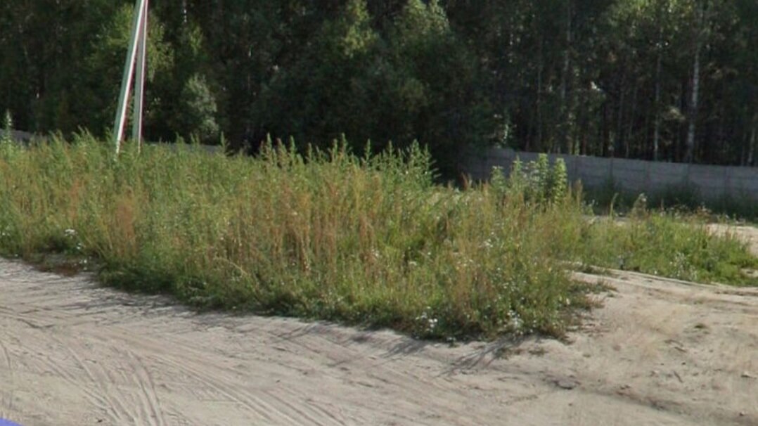 Та самая площадка, только дело было зимой. За забором кладбище. Скрин Яндекс карт.