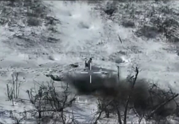 Фото из свободных источников.