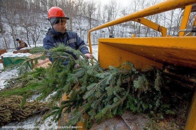    Что за акцию по утилизации новогодних деревьев запустили в Волгограде?