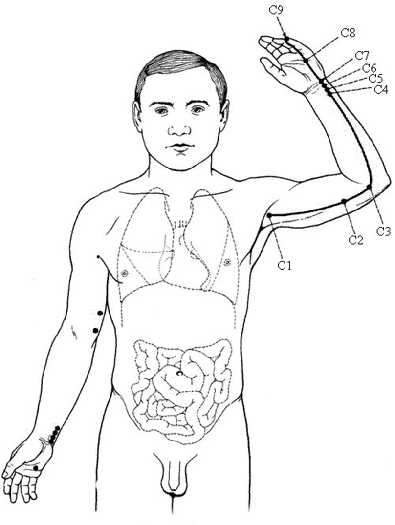 Канал селезенки. Меридиан сердца биологически активные точки. Меридиан сердца в китайской медицине точки. Меридиан сердца акупунктурные точки. Меридиан сердца внутренний ход.
