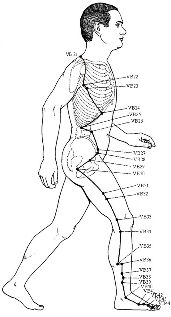 Точка расположение. Меридиан желчного пузыря точки. Точки меридиана желчного пузыря на теле. Точки меридиана желчного пузыря на ноге. Меридиан желчного пузыря точки расположения.