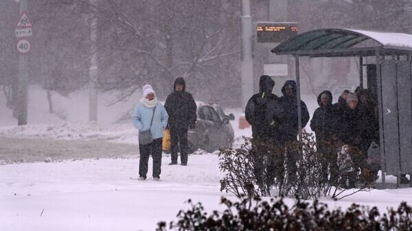    © Sputnik / Виктор Толочко