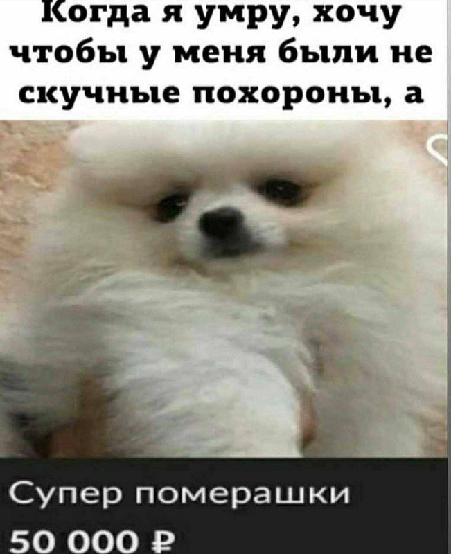 Надеюсь тебе понравится. Надеюсь тебе понравится