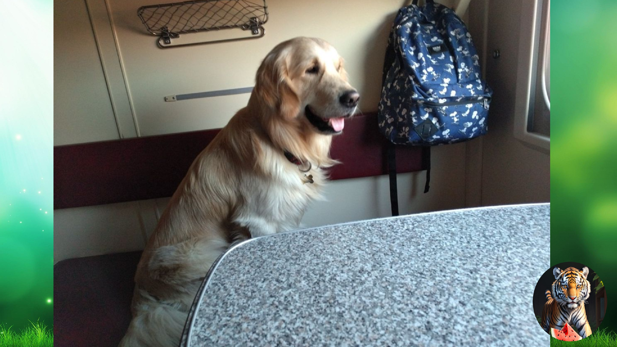 Инвалид. Девушки инвалиды 2 группы. Инвалиды в москве. В москве нашли инвалида. Полиция фото для проекта.