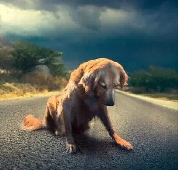 Фото из доступного источника 