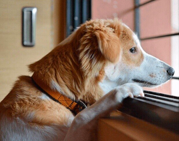 Фото из доступного источника