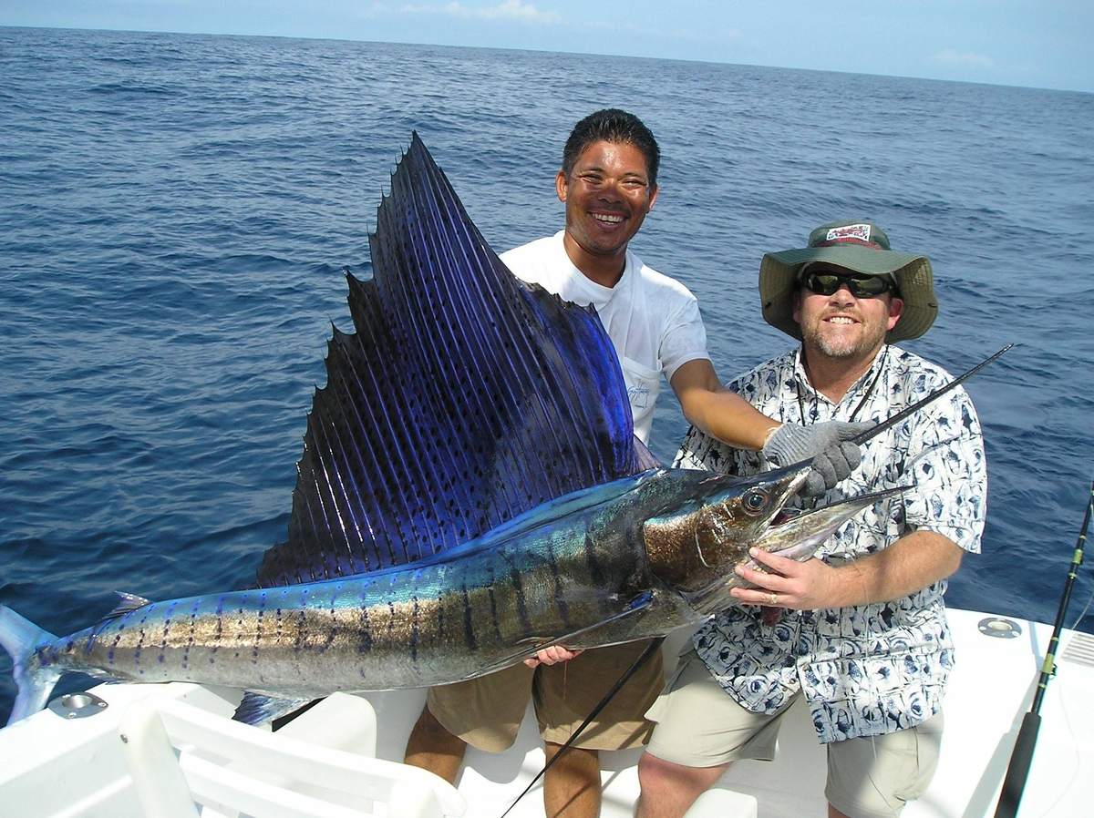 Maryland woman Katherine Perkins stabbed by 100-pound sailfish off Florida coast