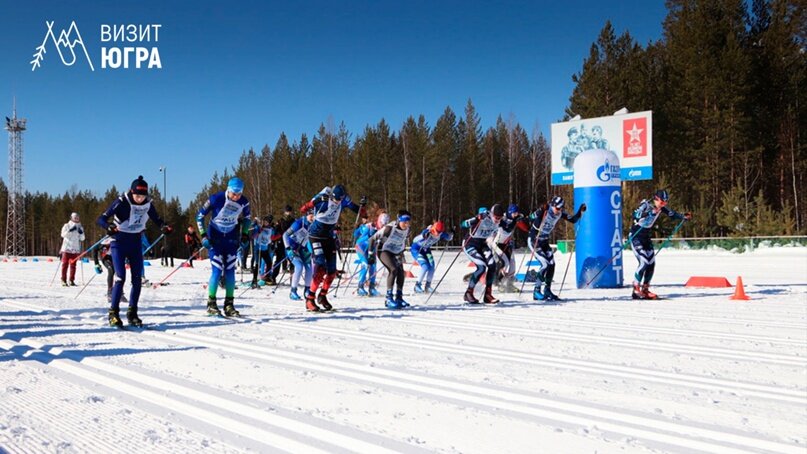 Виды спортивных баз