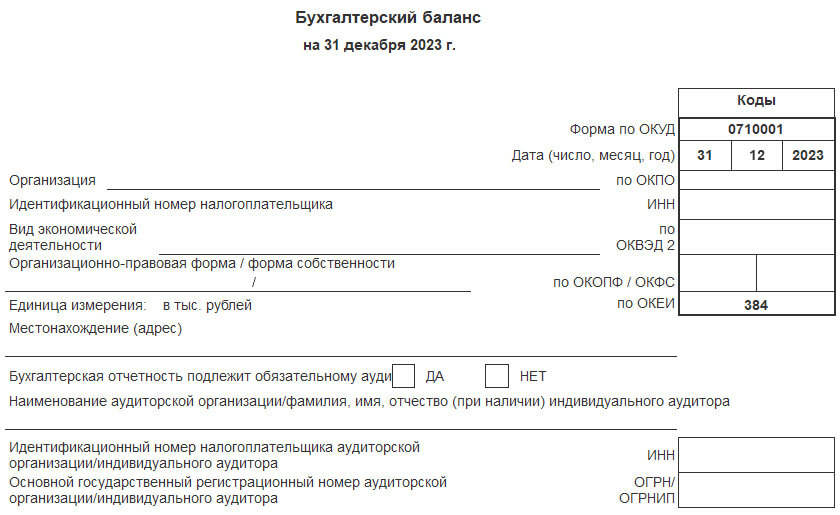 Бухгалтерский баланс на 31 декабря 2023 г.