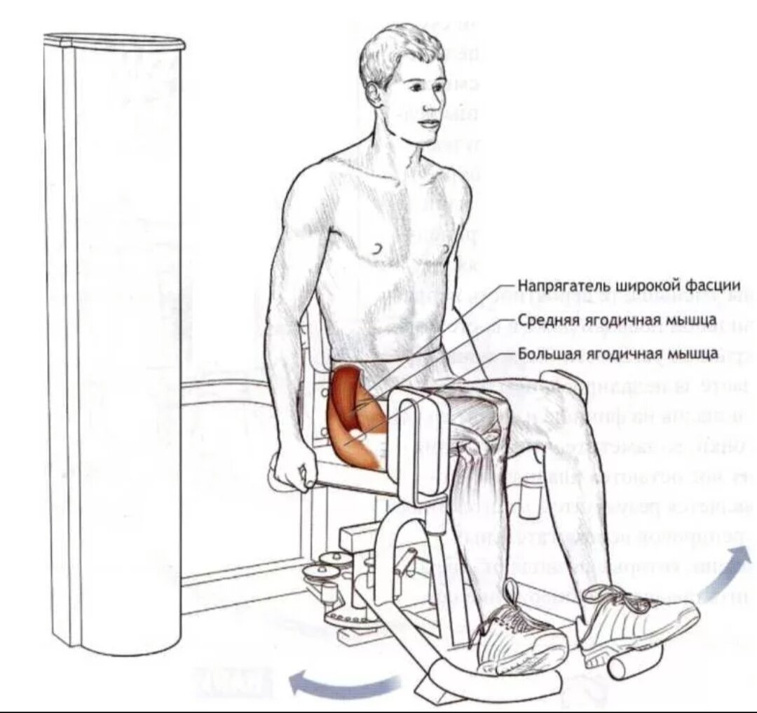 Упражнения приведение. Сведение разведение бедер тренажер. Разведение бедер в тренажере сидя. Разводка ног в тренажере сидя. Разведение ног в тренажере с наклоном корпуса вперед.