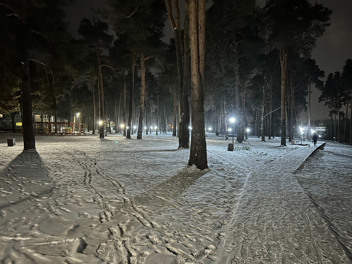 Вечерник парк Сосенки в городе Александрове, Владимирская область. | АН  