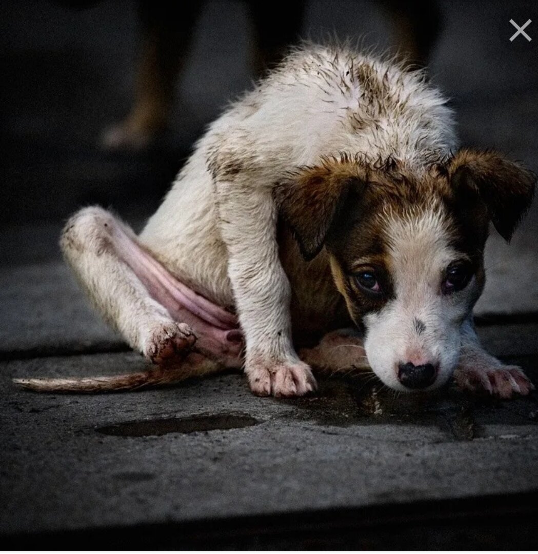 циничные высказывания