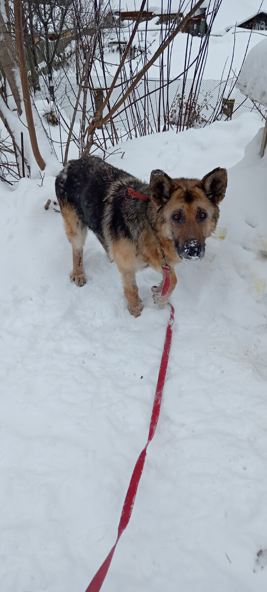 Как сейчас выглядит Дина