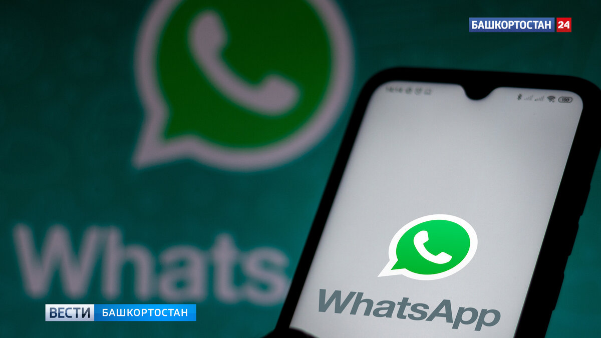 Эксперт объяснил причины сбоя работы мессенджера WhatsApp* в Башкирии |  Башкортостан 24 | Дзен