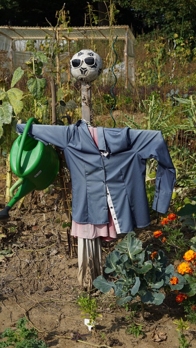    Используйте солнечные очки, чтобы птицы не отличили пугало от настоящего человекаUnsplash