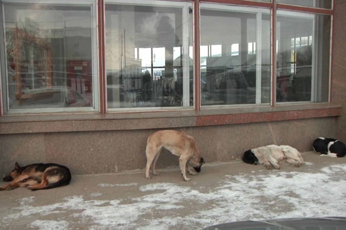    Без косточки и каши.