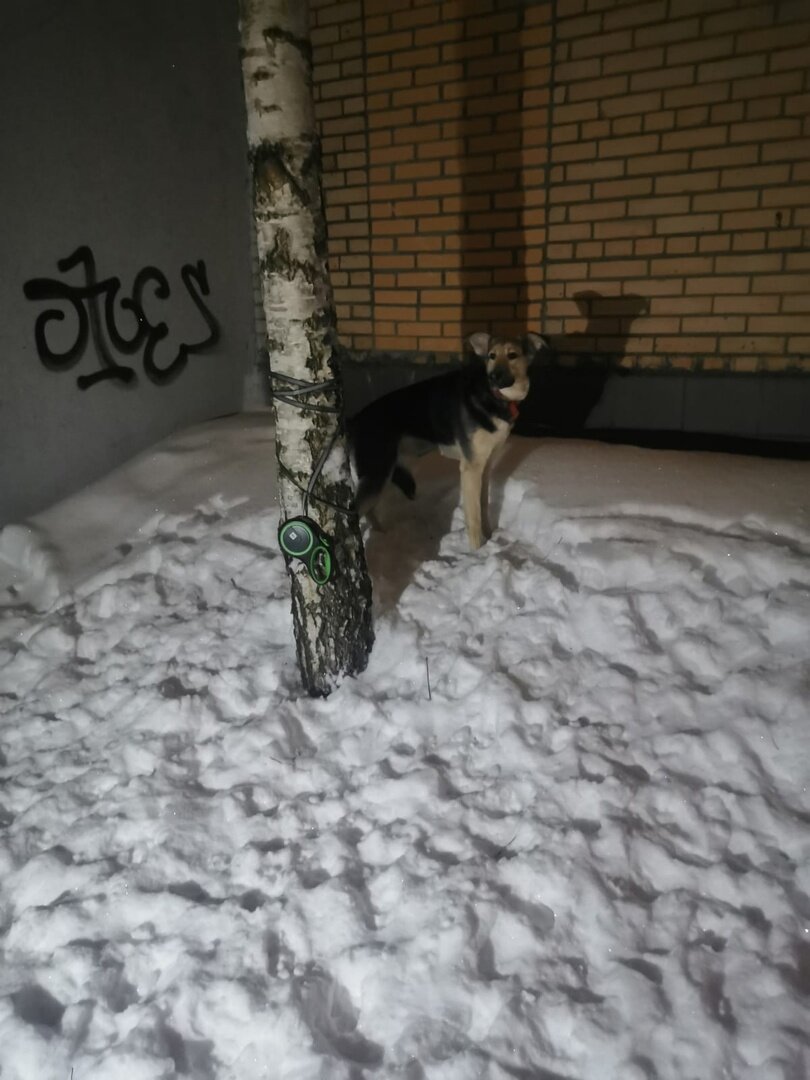 Верность и предательство в одной фотографии