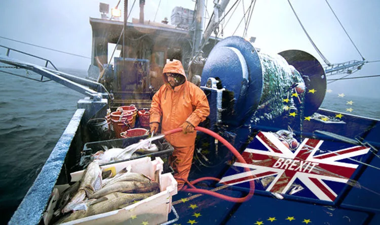 Англии запретили ловить рыбу
