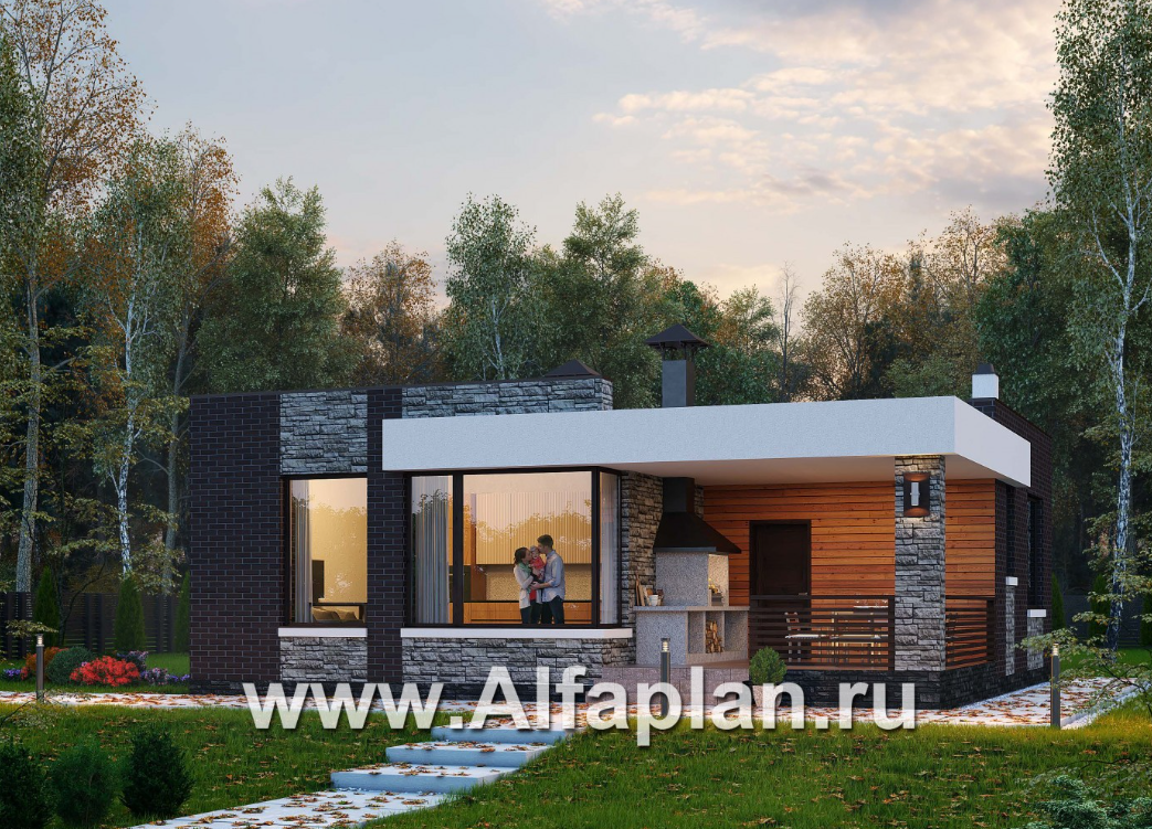 дома с прямой крышей проекты. илья елисеев архитектурное бюро. проекты домов с плоской крышей. деревянный дом с плоской крышей. дачный дом с плоской крышей.