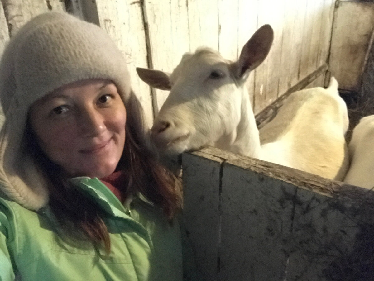 Автор канала. Вечерний обход ✌️