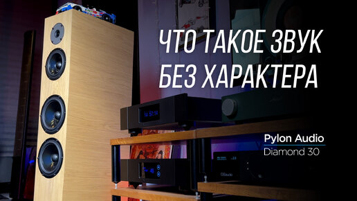 Обзор акустики Pylon Audio Diamond 30