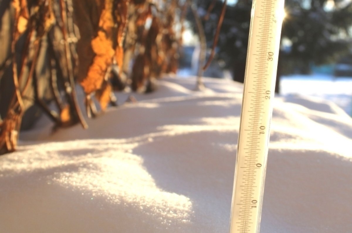    После крещенских морозов в Свердловской области потеплеет до 0