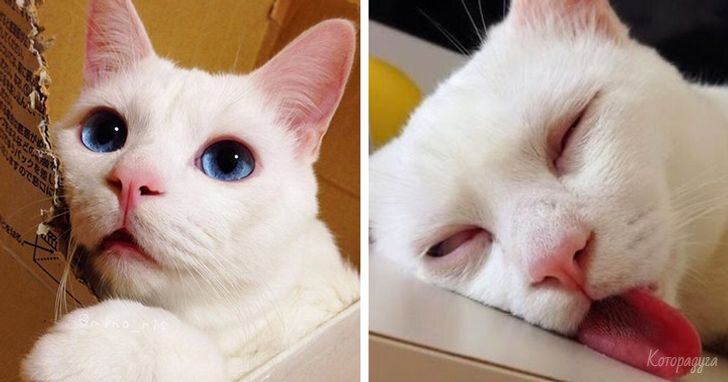 Источник: pinterest.com