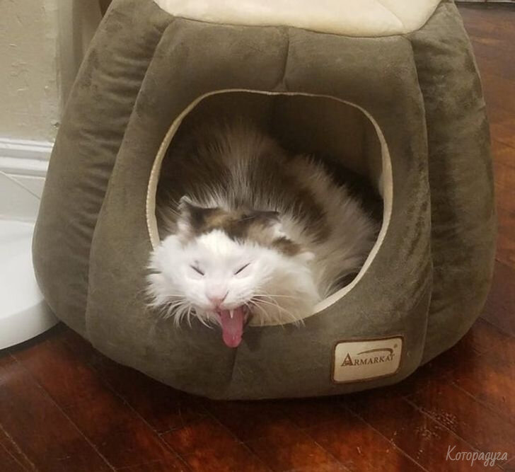 Источник: pinterest.com