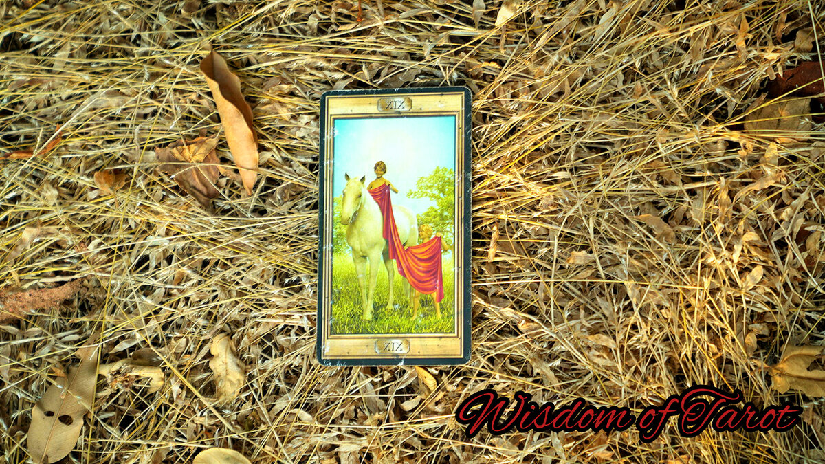 лев разумный. лев царь зверей. лев разумный. арт фэнтези зверолюд воин лев. картина 50 75 король лев.