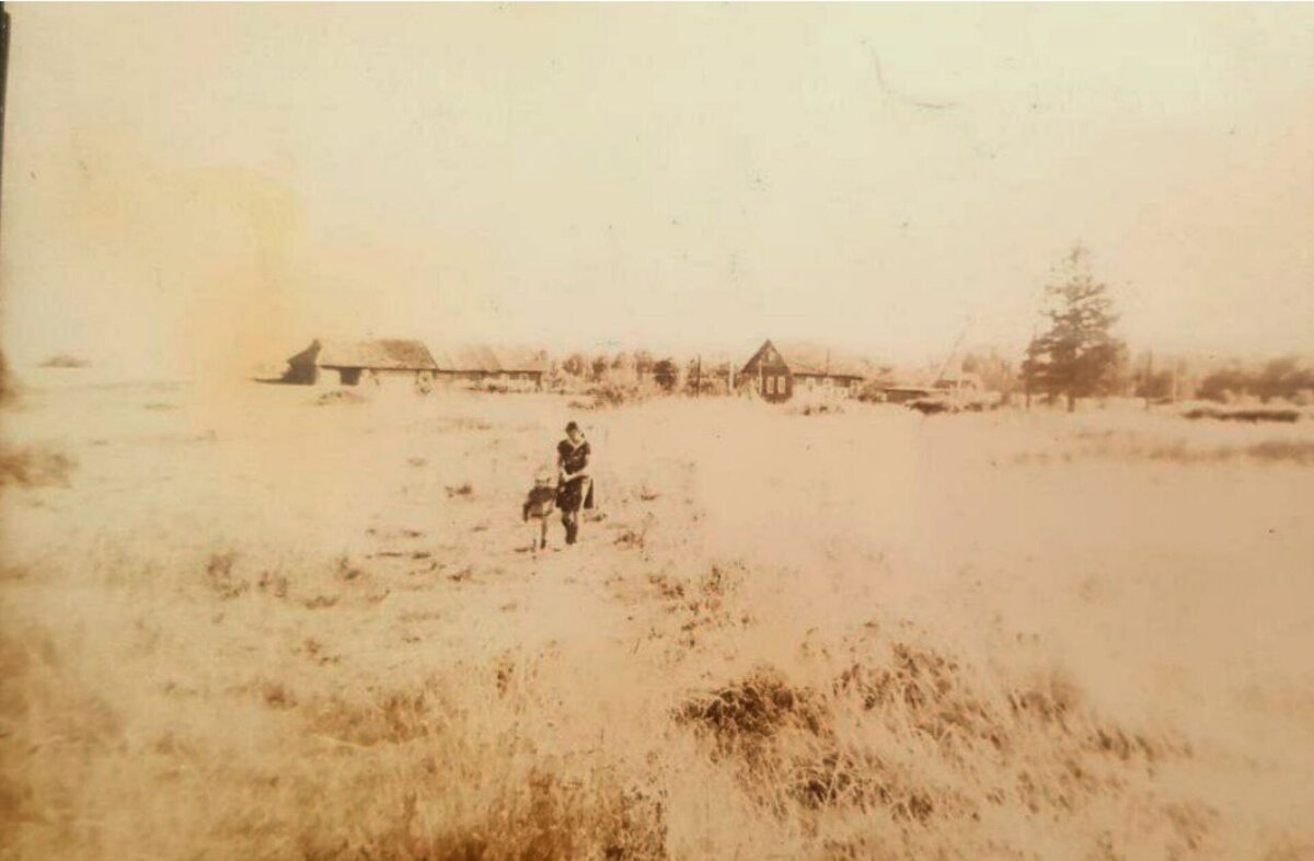 * авторское фото 80-х годов 20 века ,вид деревни Орёл спустя 80 лет после ее основания *