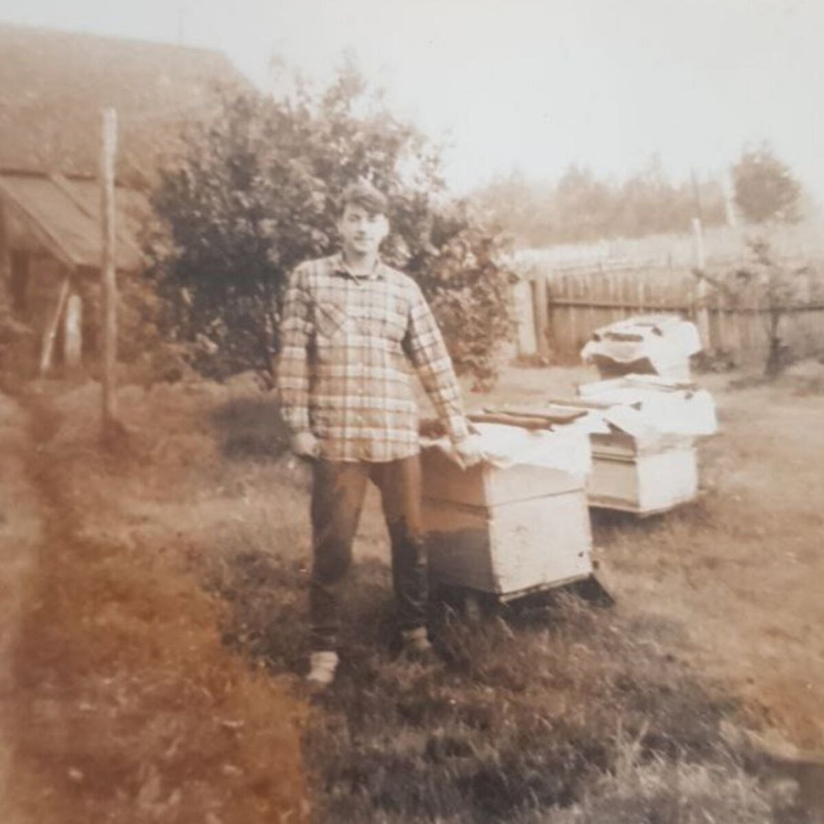 *авторское фото второй половины 80-х годов 20 века. В кадр попал уголок пасеки в деревне Орёл *