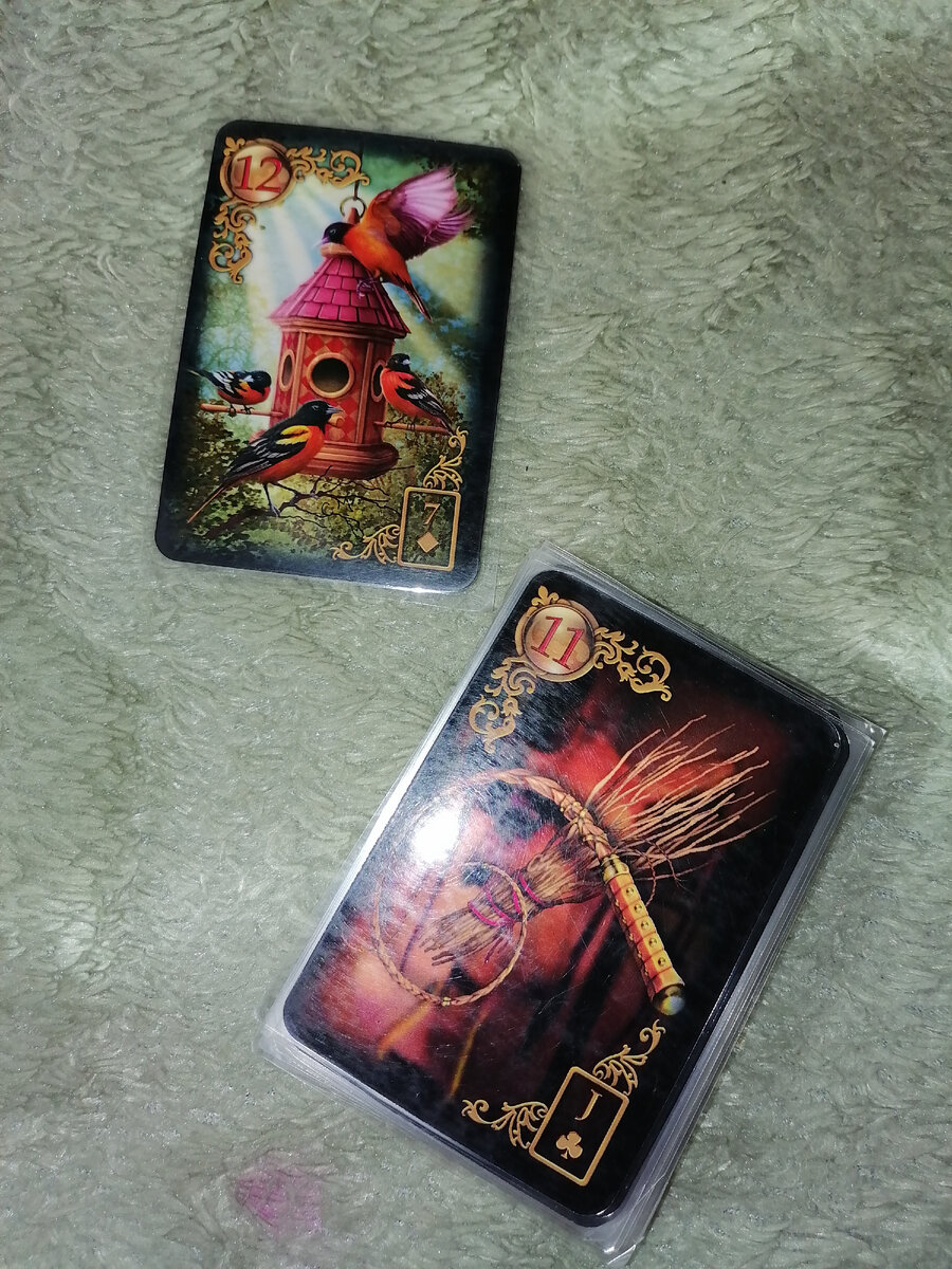 Фото автора.