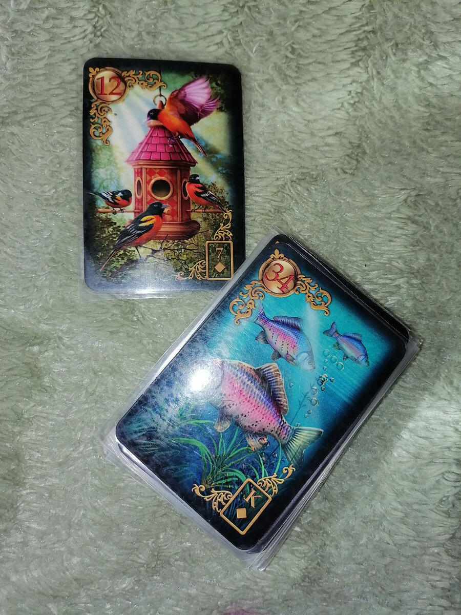 Фото автора.