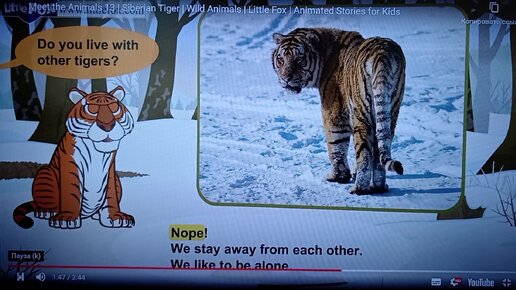 Meet The Animals Встречи с животными Мульфильм Siberian Tigers Сибирские Тигры С переводом