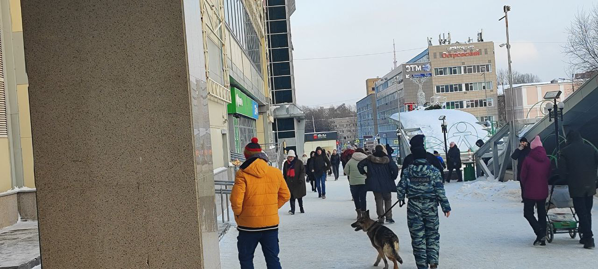    кинологи с собаками осмотрели ТРК "Семья" Олег Антонов