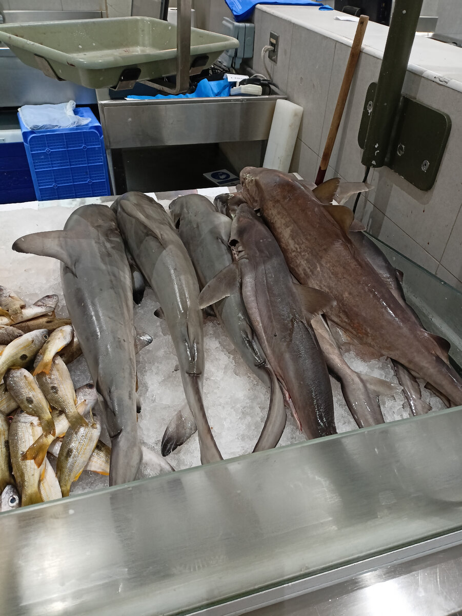 Даже есть акулята